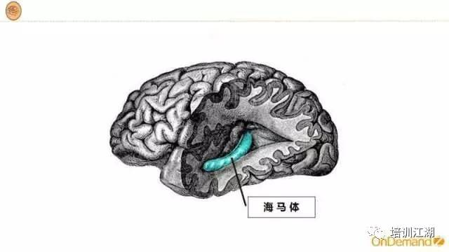 file_170525091300678566.png